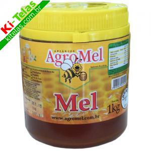 MEL DE ABELHAS - 1KG - AGROMEL
