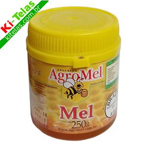 MEL DE ABELHAS - 250G - AGROMEL